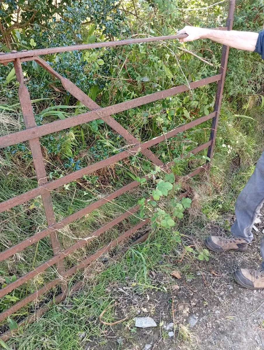 Gate - Image 3