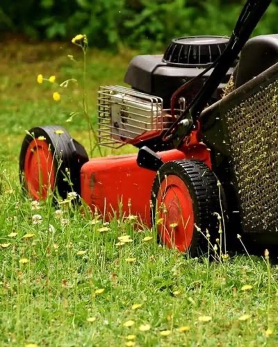 If anyone is looking to get there grass cut in Lon - Image 2