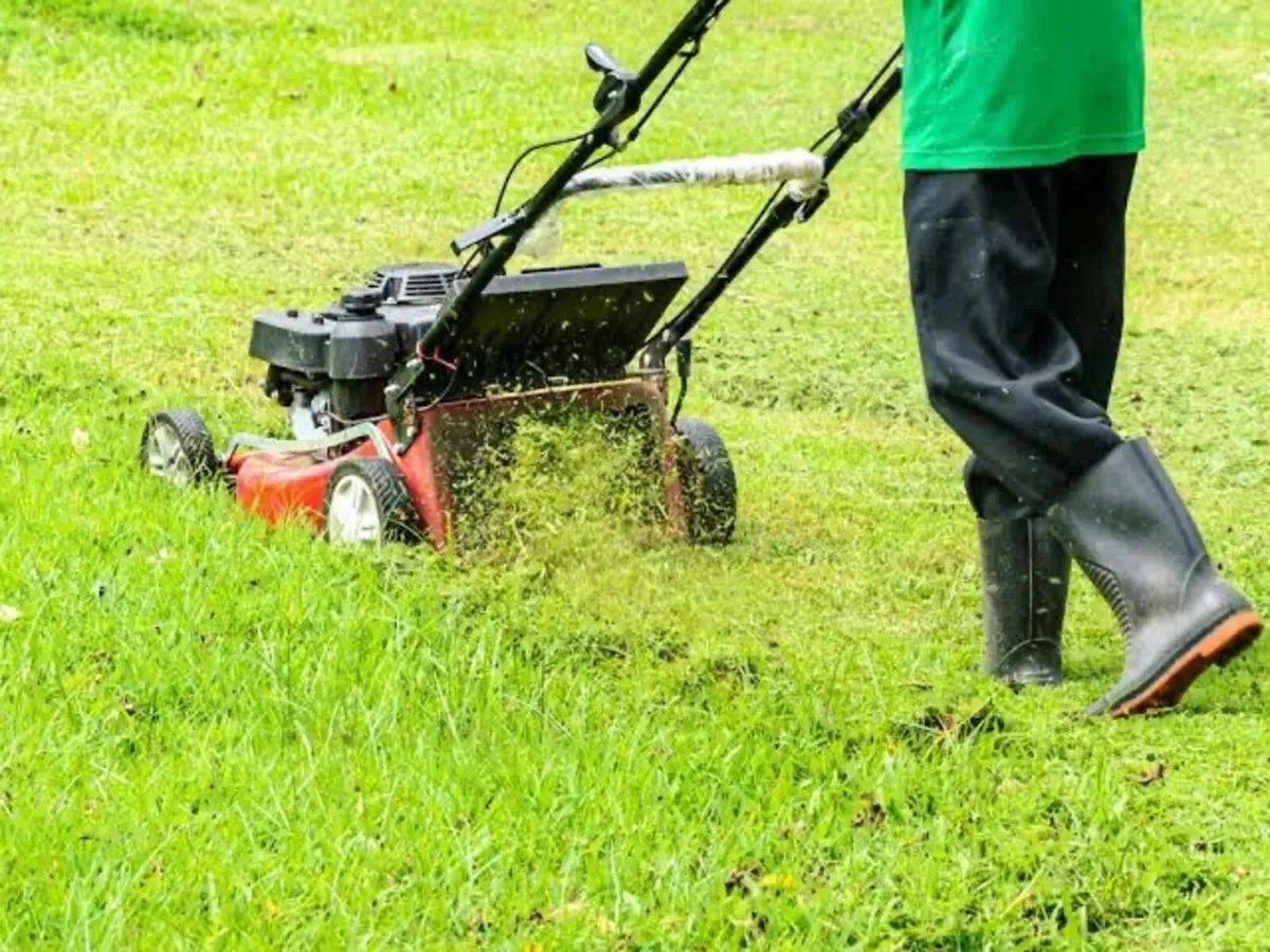 If anyone is looking to get there grass cut in Lon - Image 3