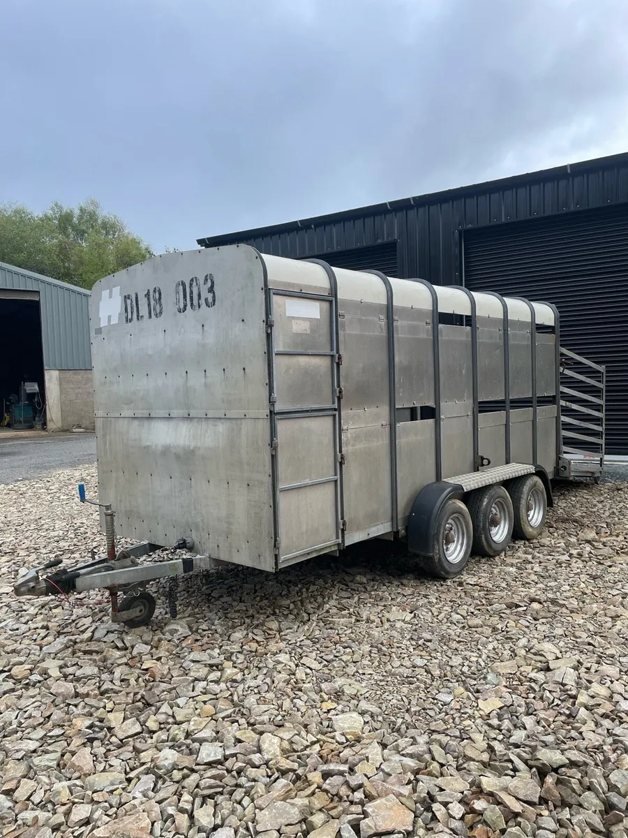 ✅Hudson 14ft cattle trailer - Image 2