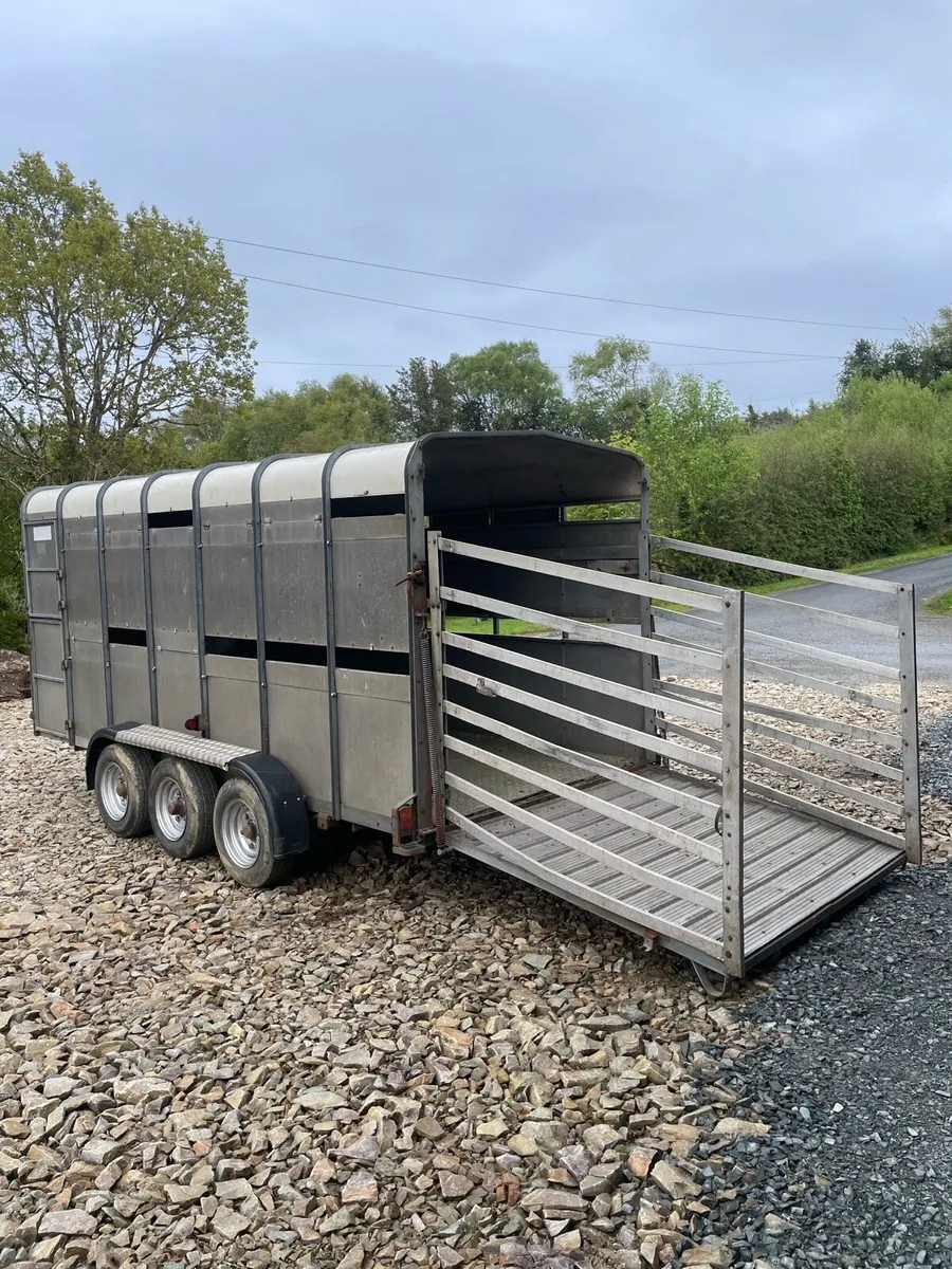 ✅Hudson 14ft cattle trailer - Image 3