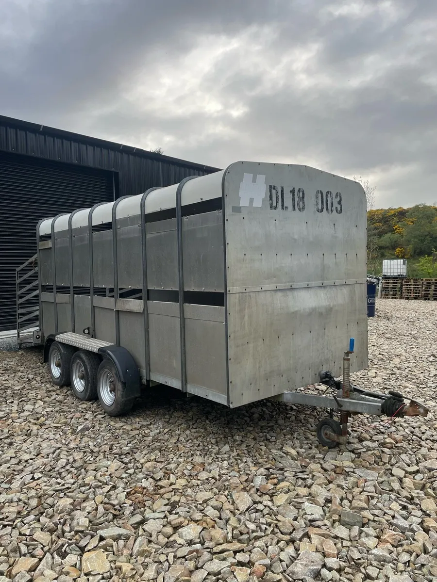 ✅Hudson 14ft cattle trailer - Image 1