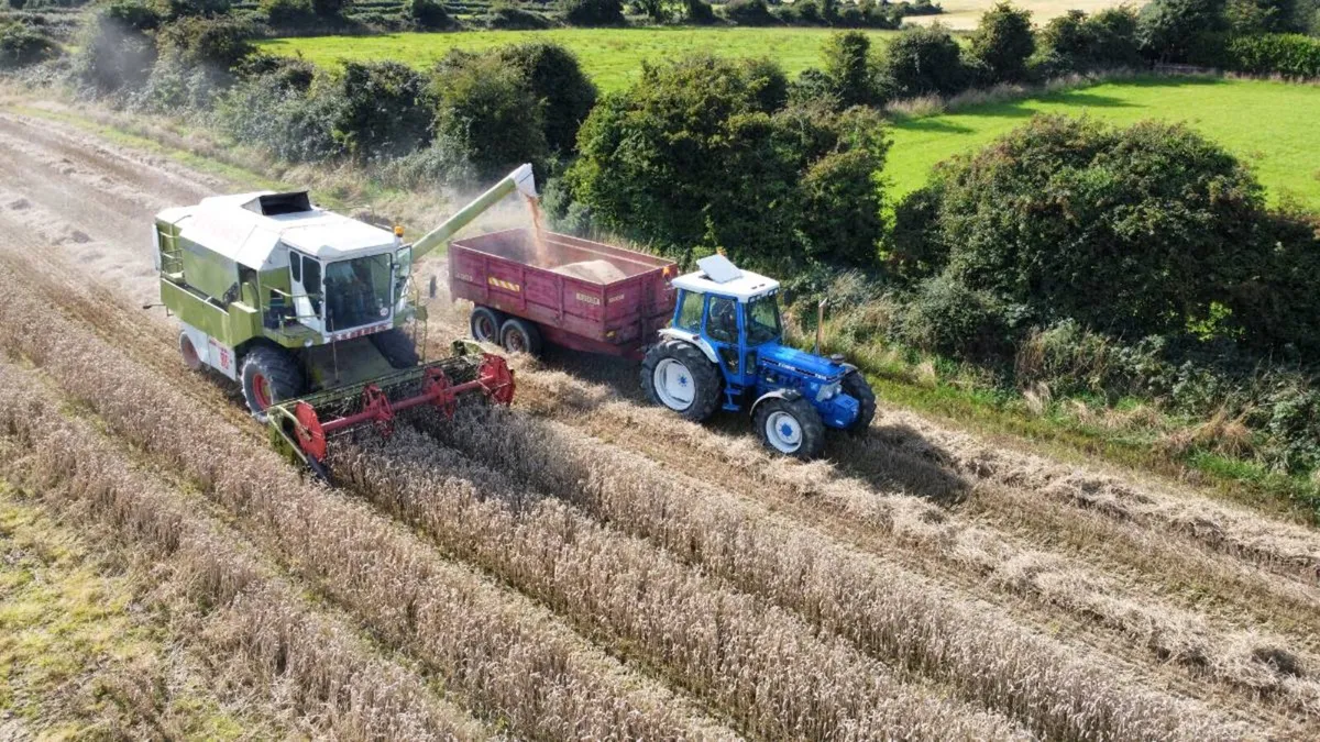 Claas Dominator 96 - Image 1