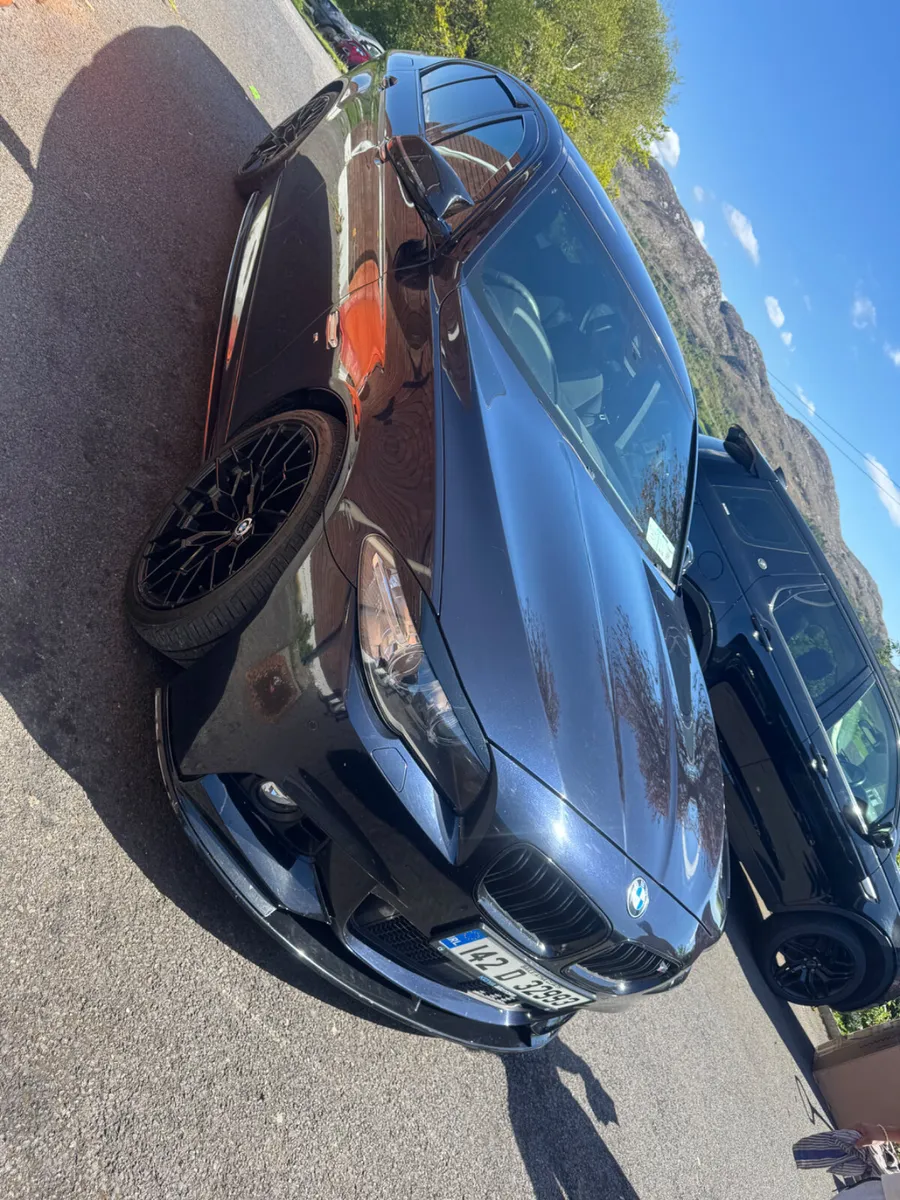 Tinted wind deflectors 2 & 4 piece - Image 1