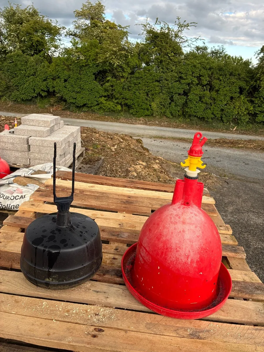 Bell drinkers - Image 1