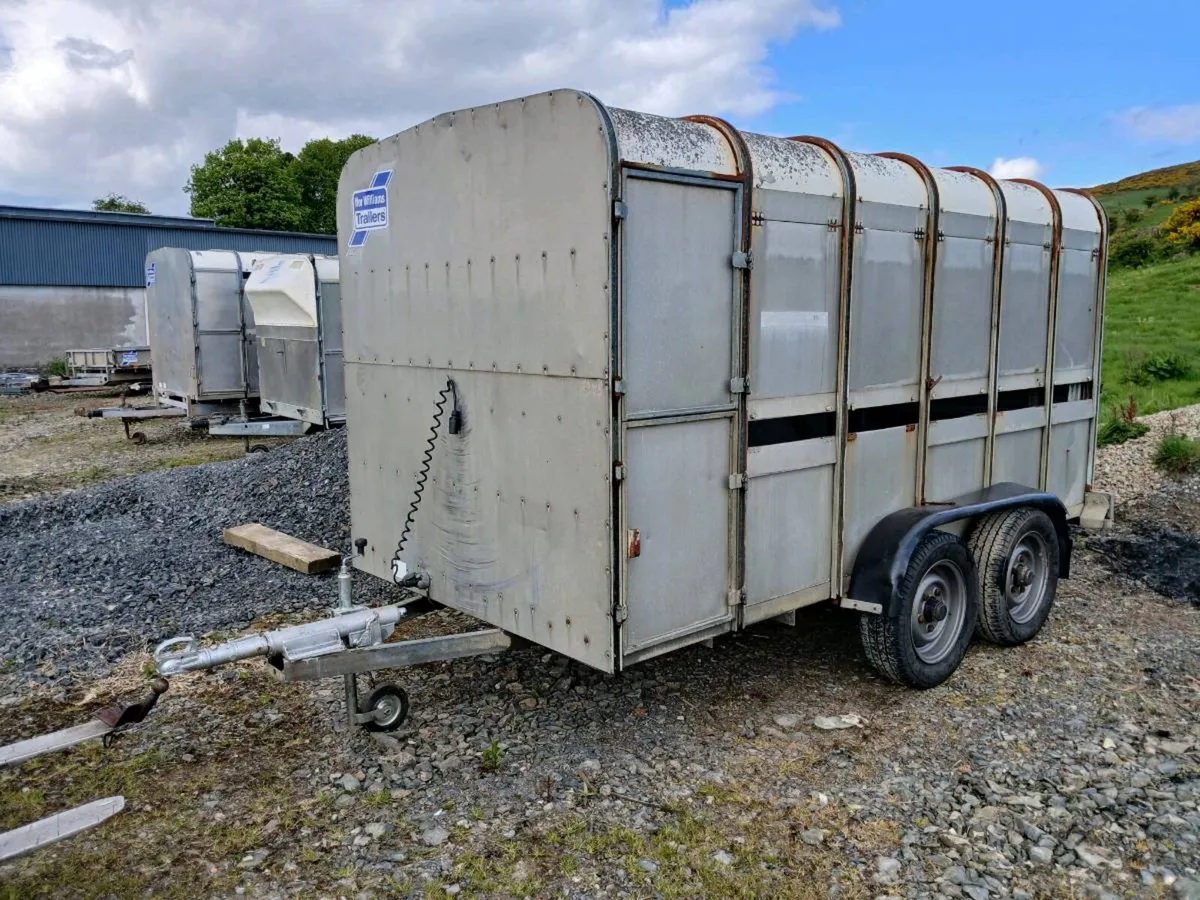 IFVOR WILLIAMS CATTLE TRAILER - Image 2