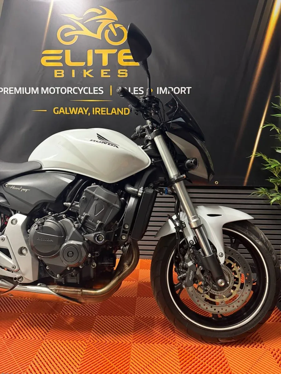 Honda Hornet CB600F - Image 4