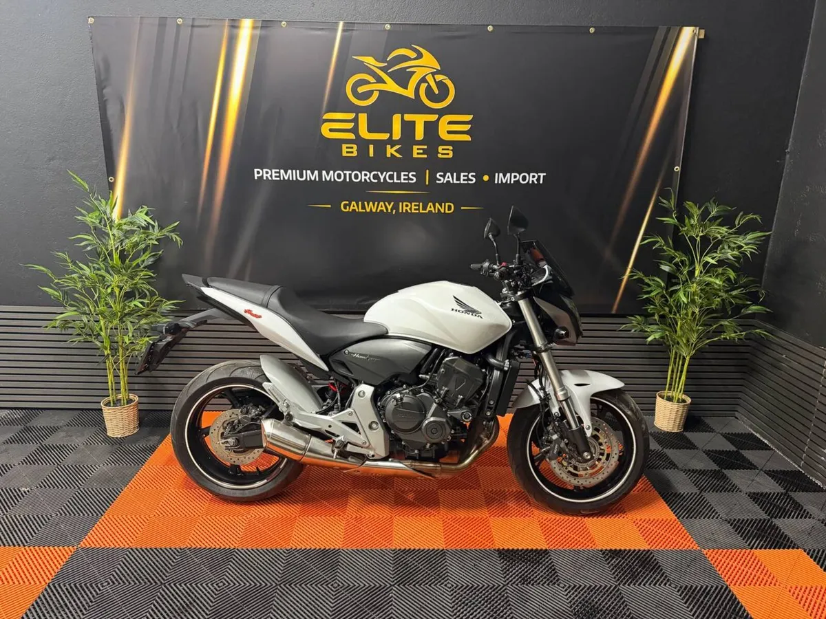 Honda Hornet CB600F - Image 1