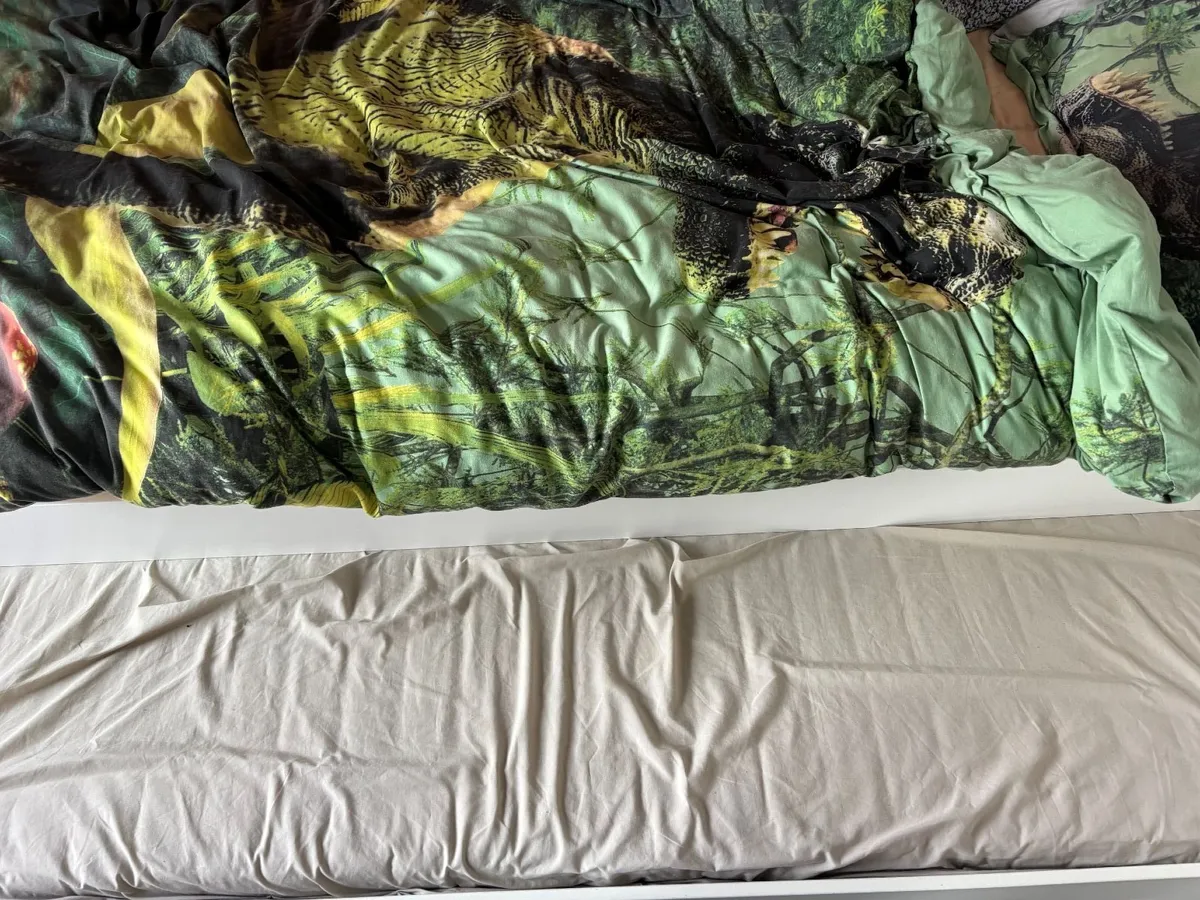 Single Bed Free to Take Away - Image 3