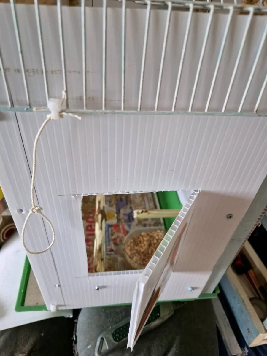 Bird .cage. - Image 2