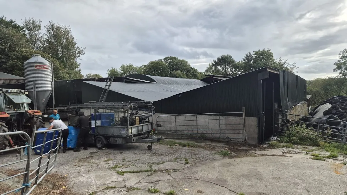 Cork Farm Painters & Shed Repairs - Image 4