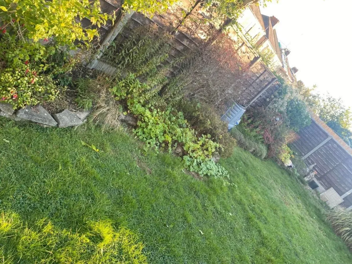 Gardening - Image 2