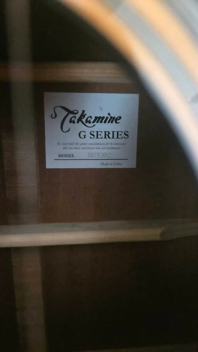 Takamine G series Electro Acoustic - Image 2