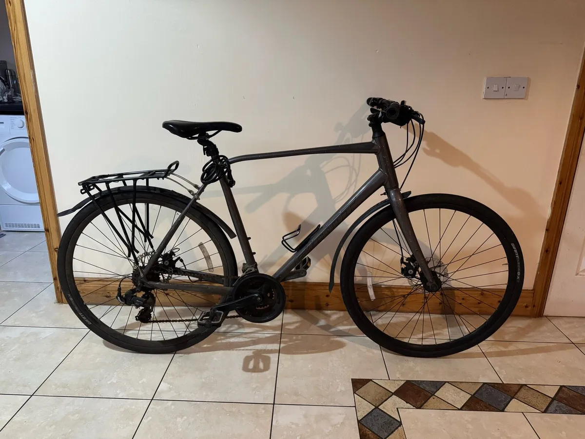 Adult Bike - Image 1