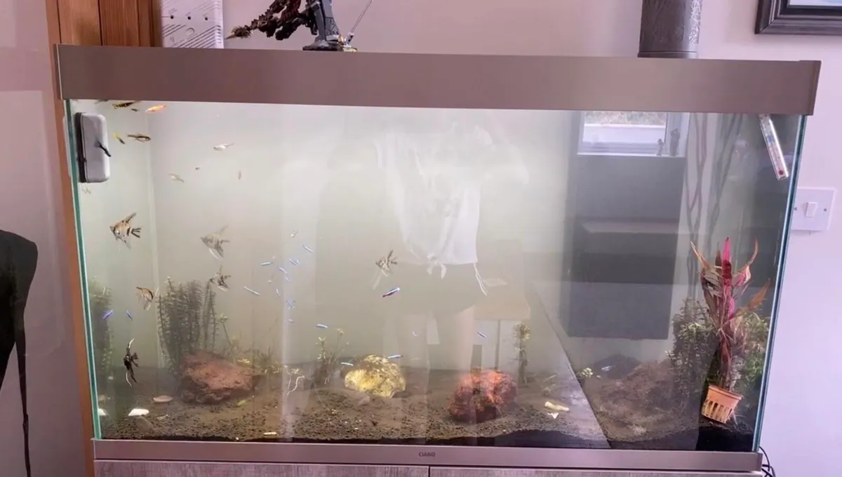 200Litre Fish Tank - Image 1
