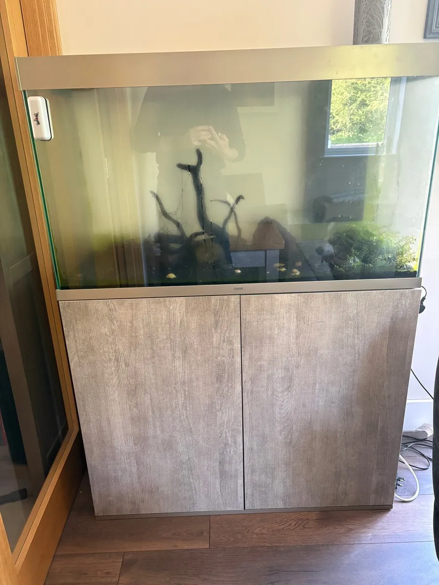200Litre Fish Tank - Image 2