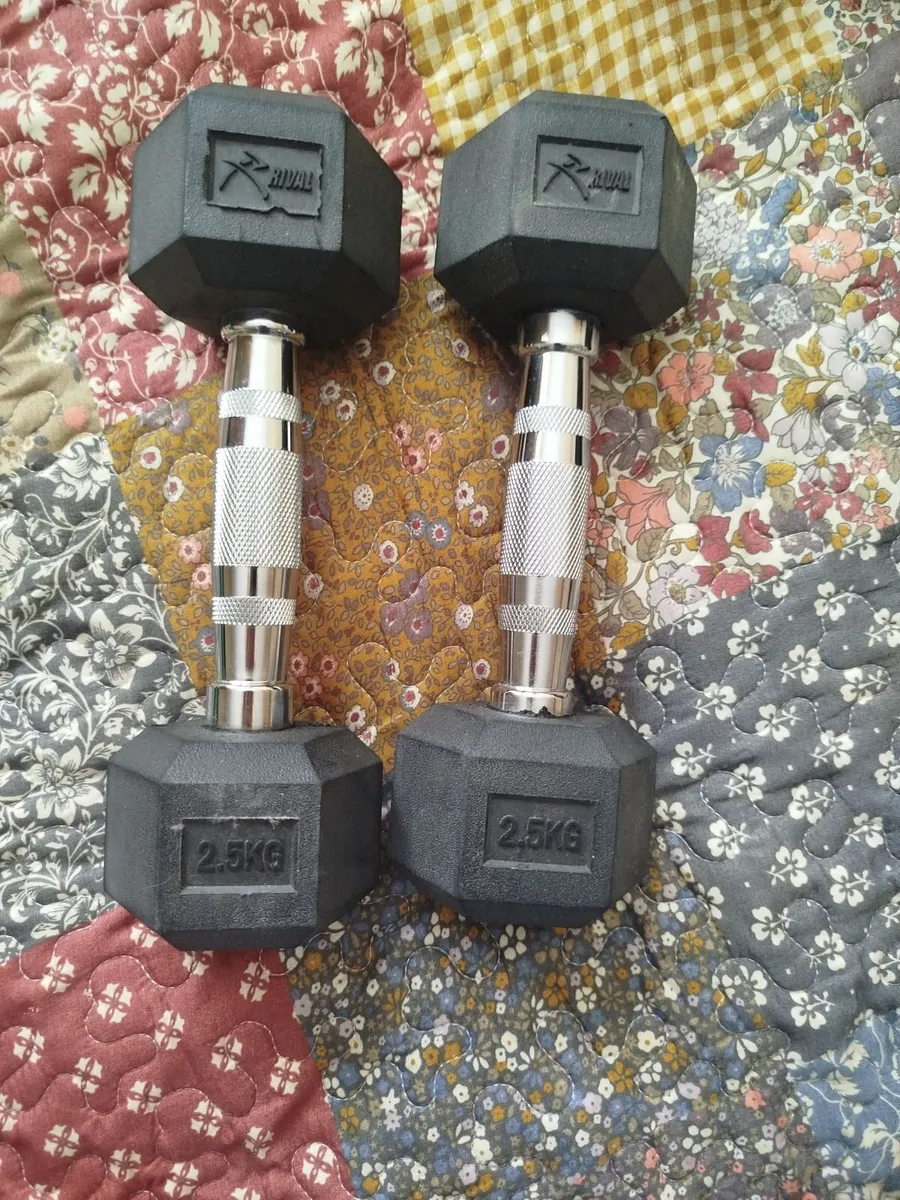 Dumbells 2.5kg set of 2