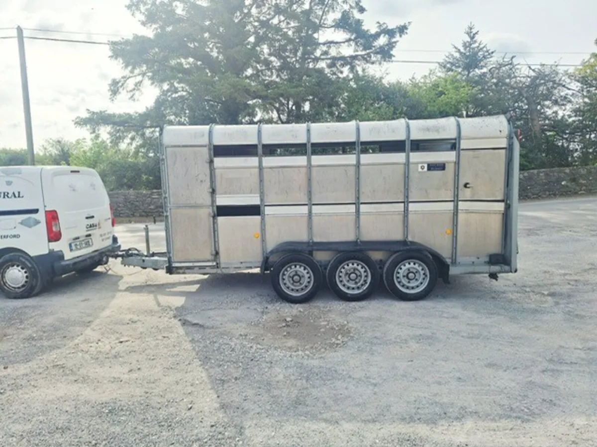 2007 Ifor Williams 14 x 6 Cattle Trailer - Image 2