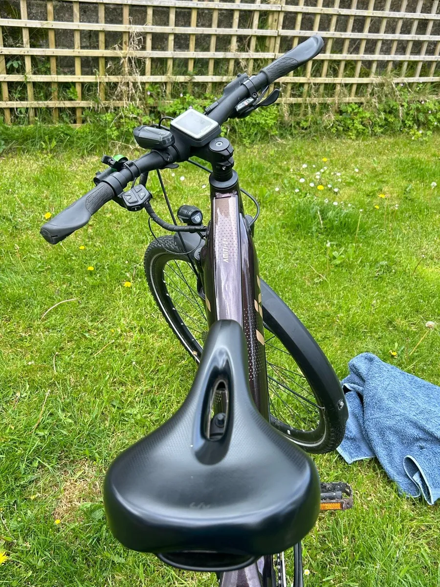 Ebike - Image 4