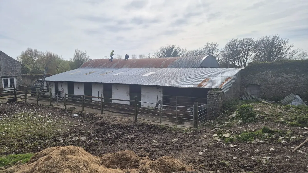 Cork Farm Painters & Shed Repairs - Image 4