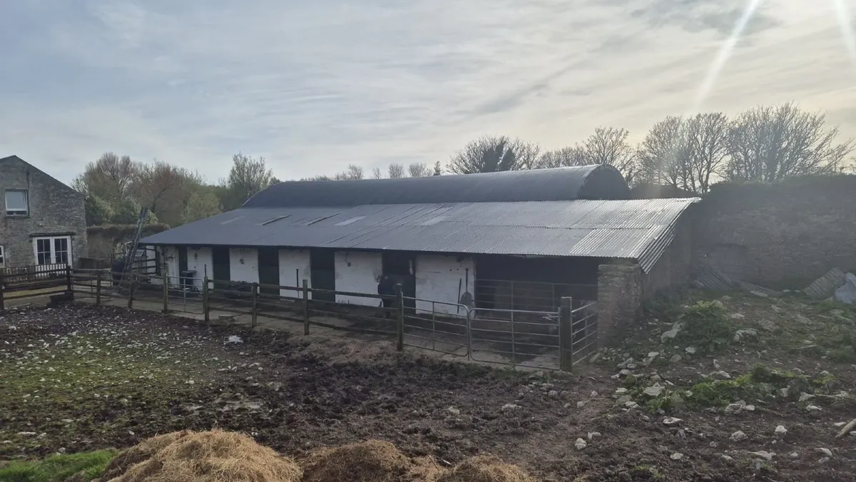 Cork Farm Painters & Shed Repairs - Image 3