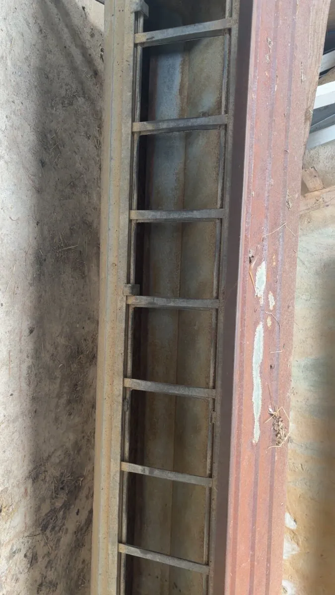 Lamb creep feeder - Image 3