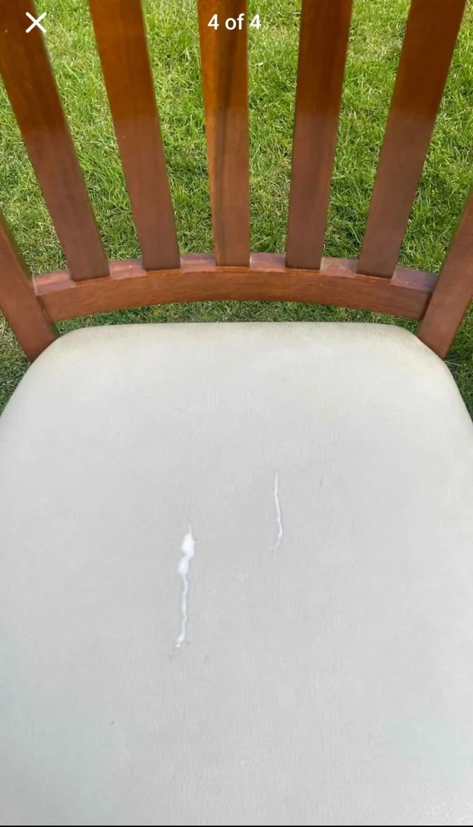 6 Dining Chairs - Image 3