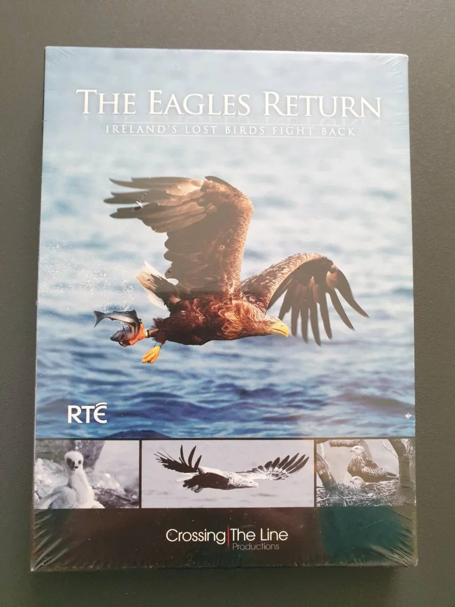 The Eagles Return 2010 DVD Irelands Lost Birds RTE - Image 1