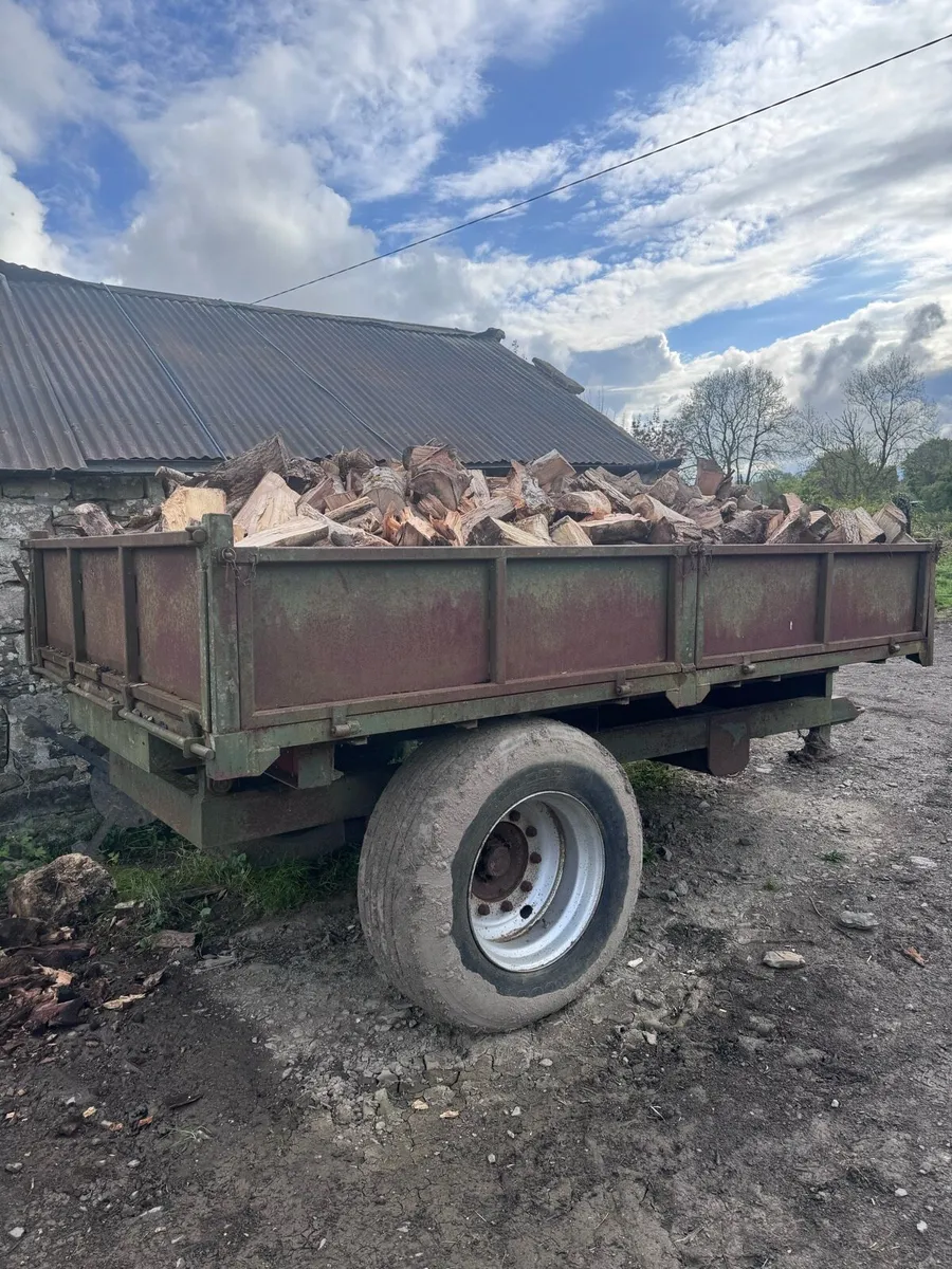 Firewood - Image 2