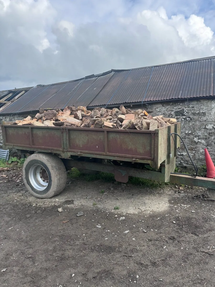 Firewood - Image 1
