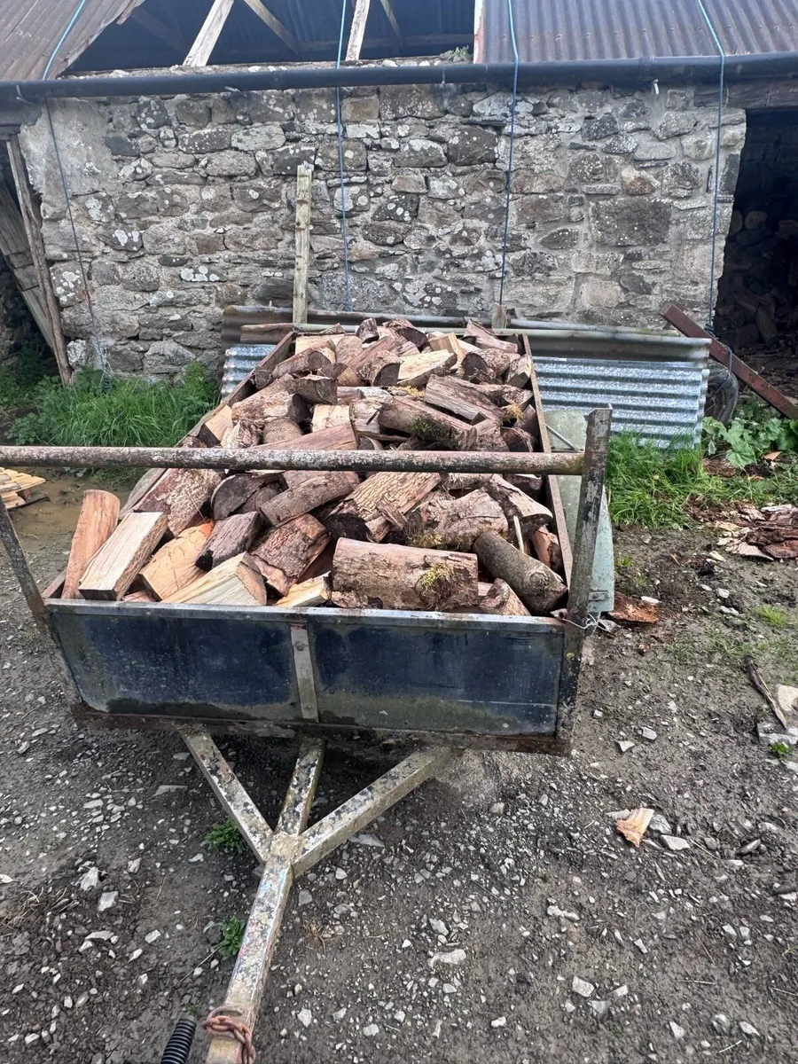 Firewood - Image 3