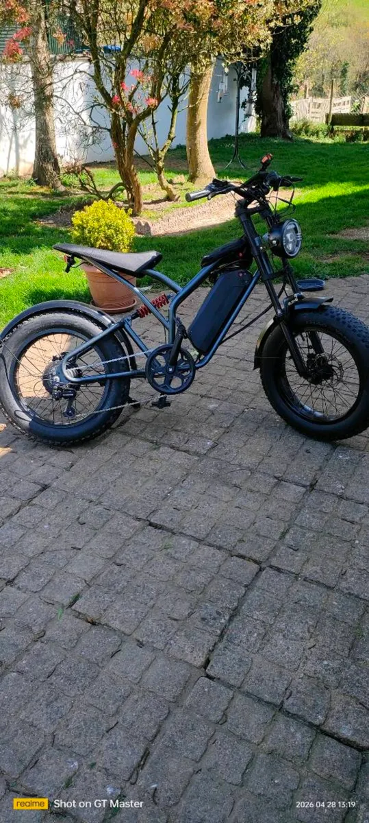 Electric Bicycle - Image 3