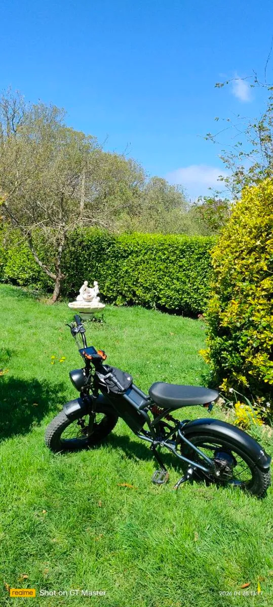 Electric Bicycle - Image 1