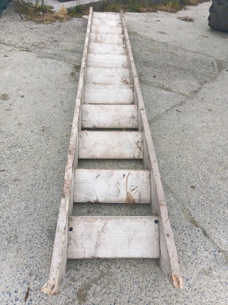 Temporary stairs - Image 1