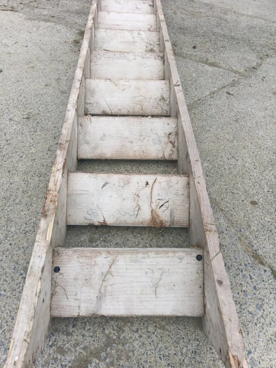 Temporary stairs - Image 3