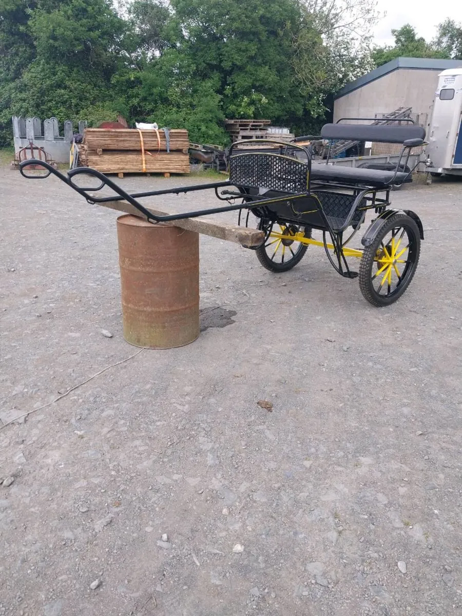 BRAND NEW FULL SIZE ROAD CART - Image 1