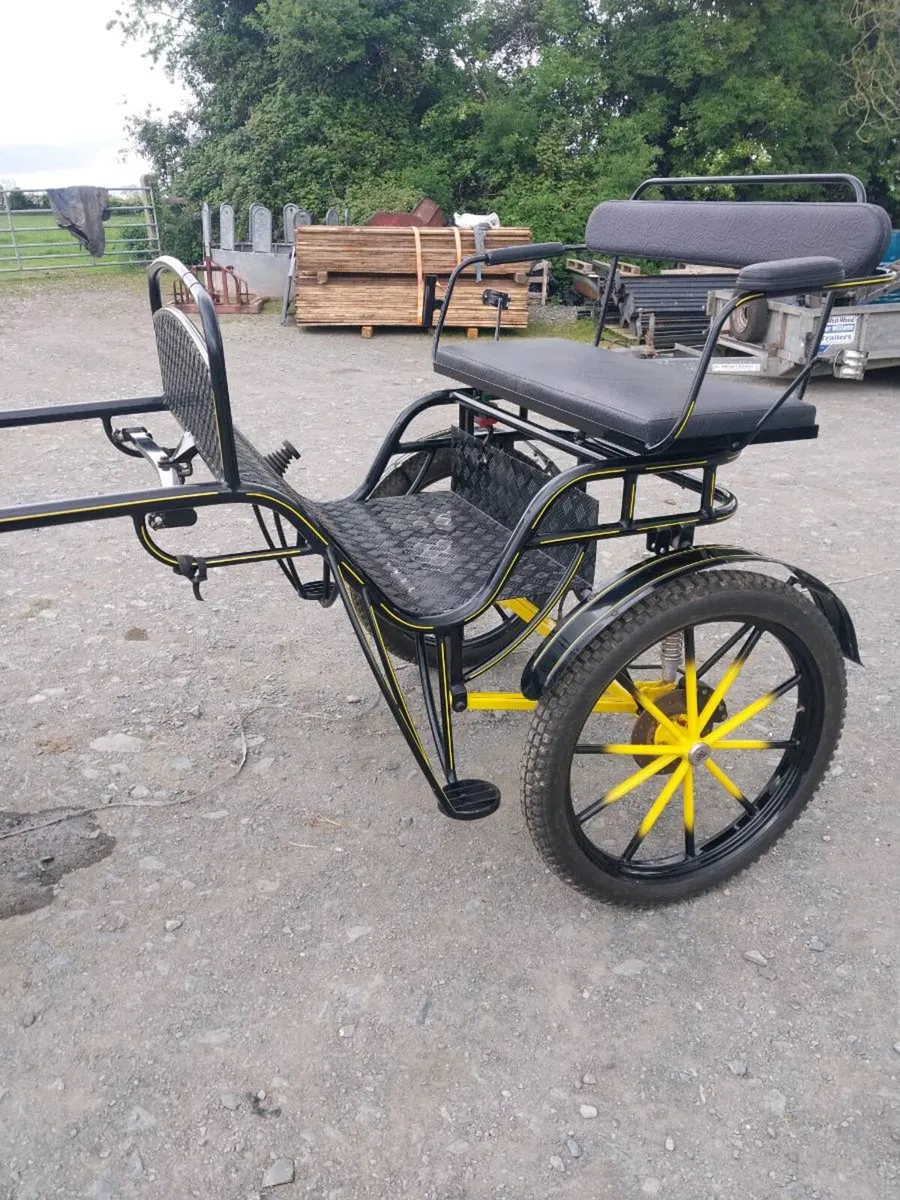 BRAND NEW FULL SIZE ROAD CART - Image 2