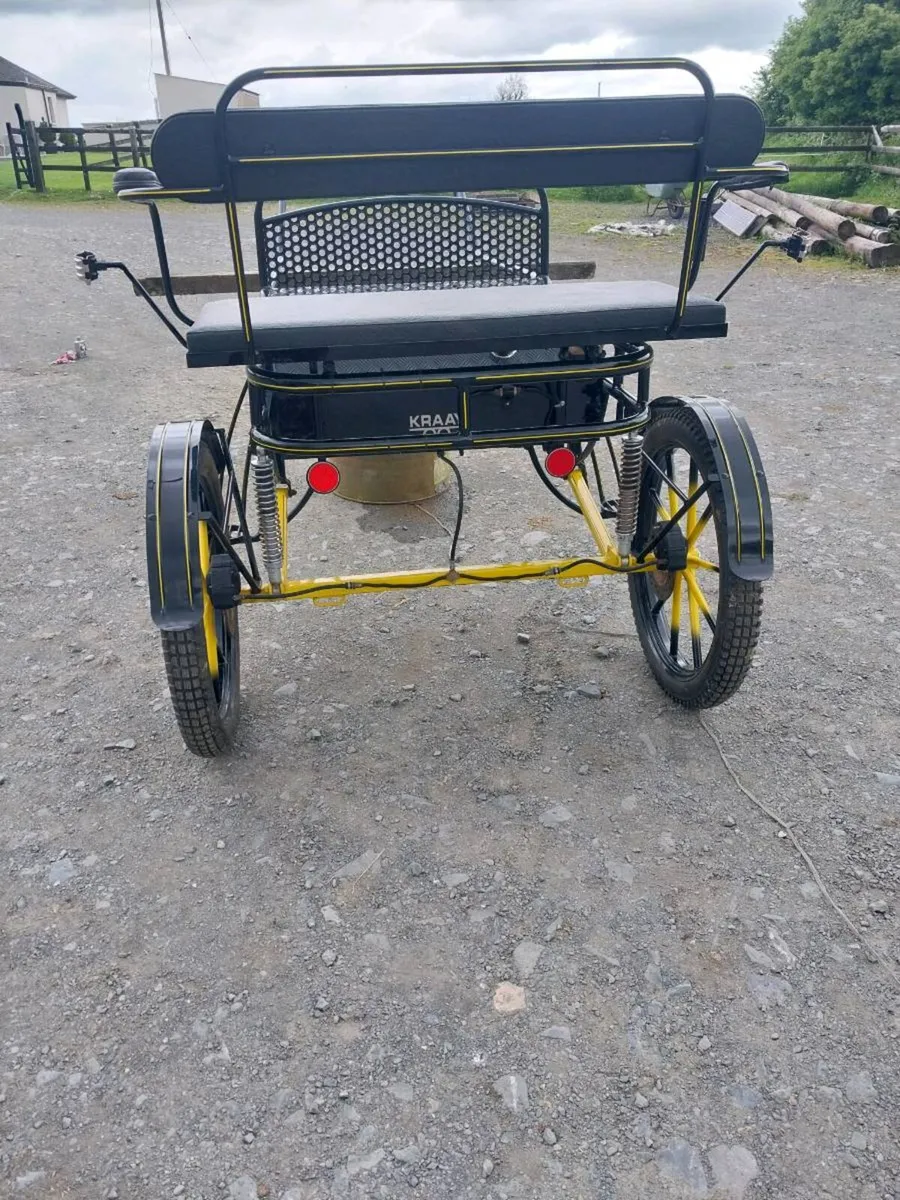 BRAND NEW FULL SIZE ROAD CART - Image 3