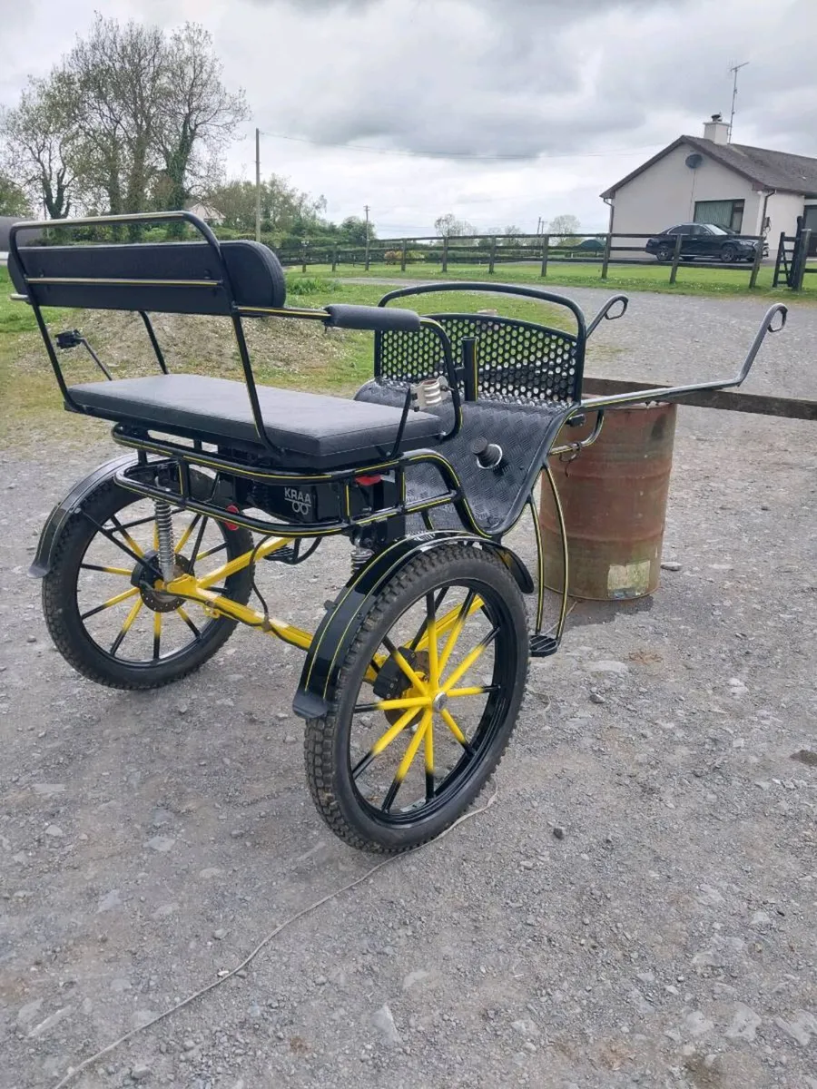 BRAND NEW FULL SIZE ROAD CART - Image 4