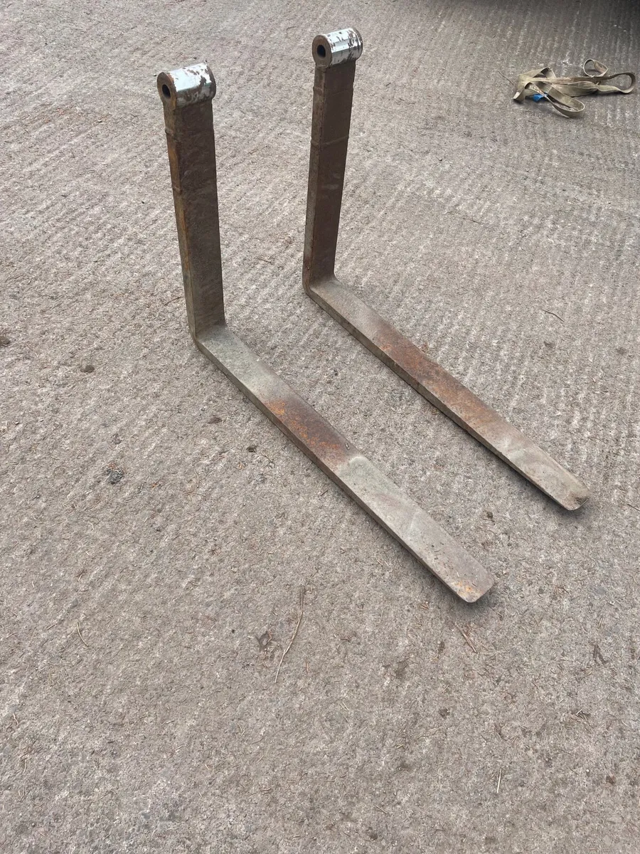 Floating pallet forks - Image 1