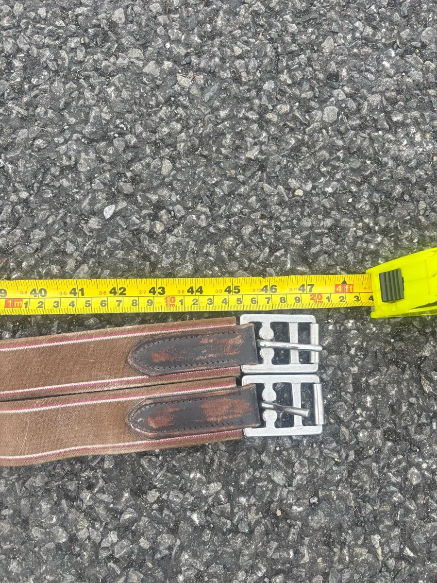 Leather stud girth - Image 2