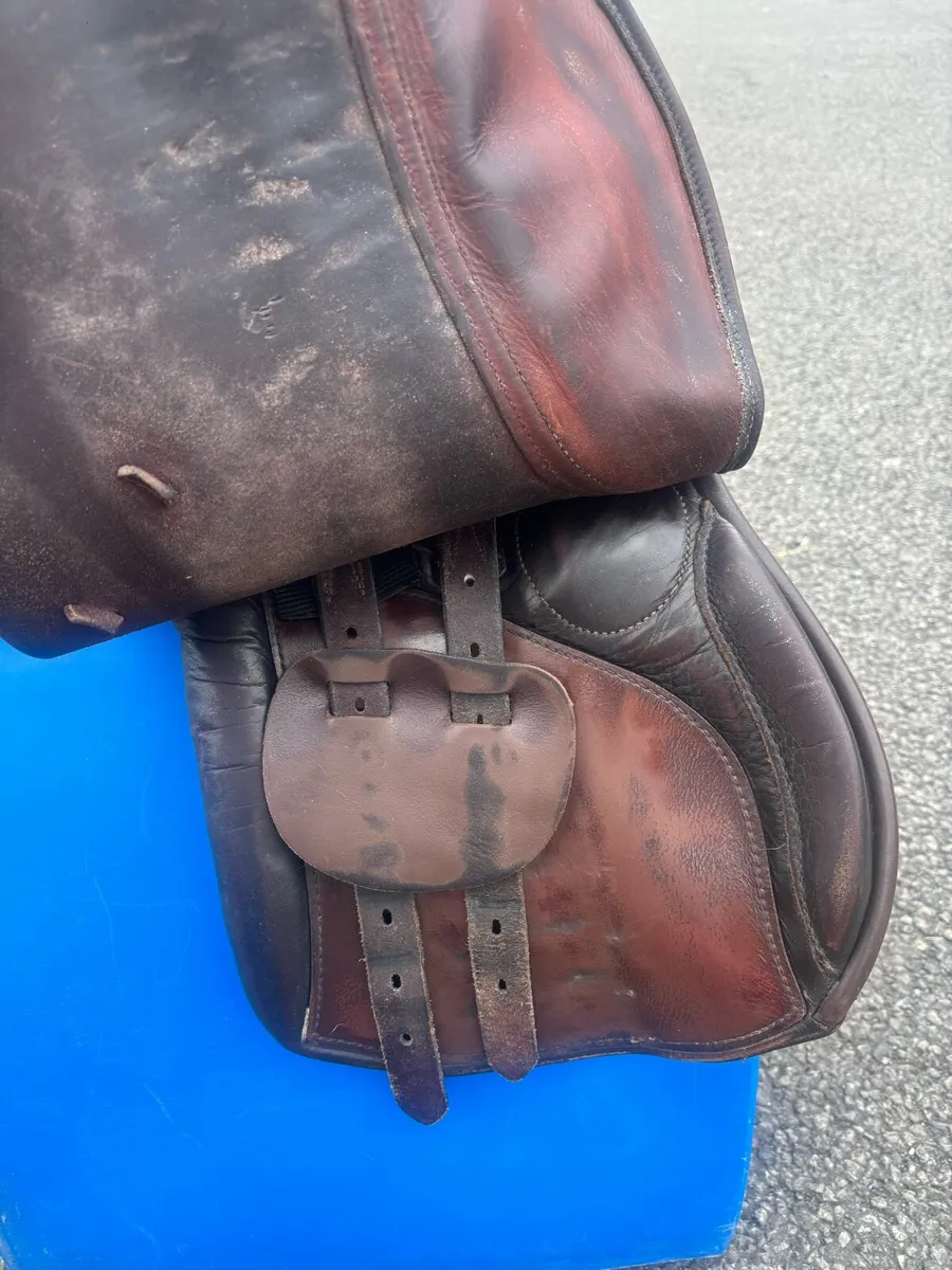 Berney Bros Saddle - Image 3