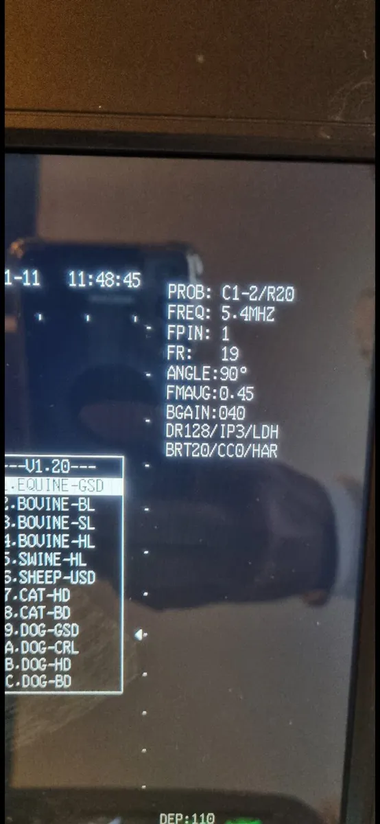 Ultrasound scanner Dog Fertility - Image 2