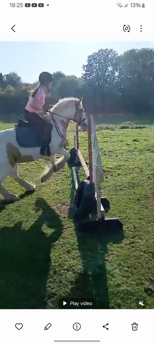 Flashy cob for sale - Image 2