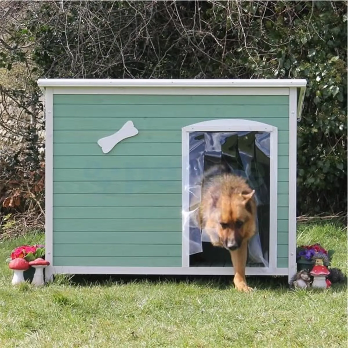 Dog Kennels - Range of Kennels Available - Image 3
