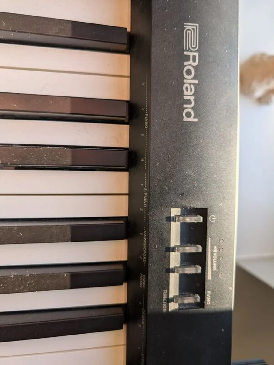 Roland FP-10 Keyboard - Image 3
