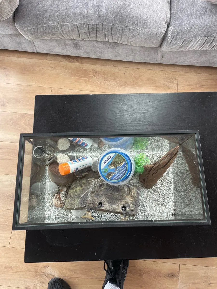 Turtle tank - Image 3