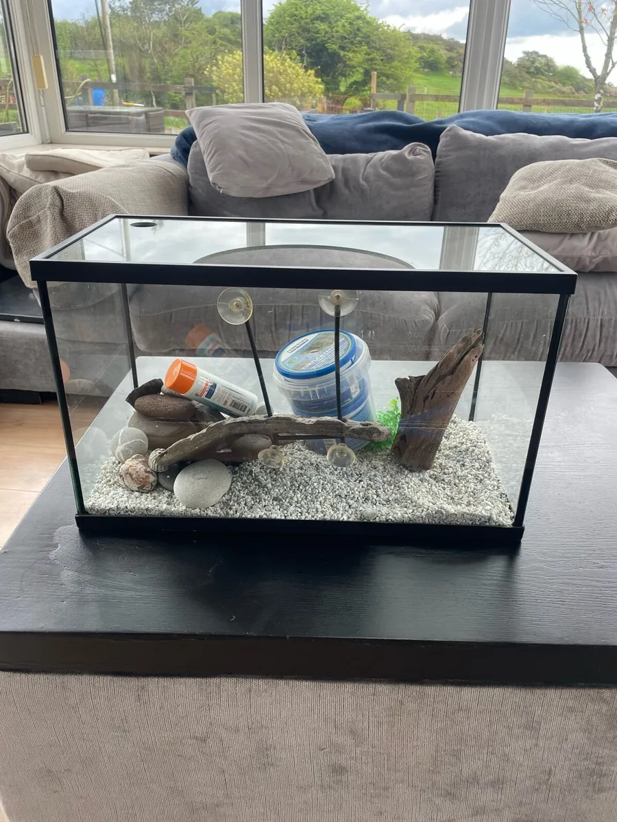 Turtle tank - Image 1