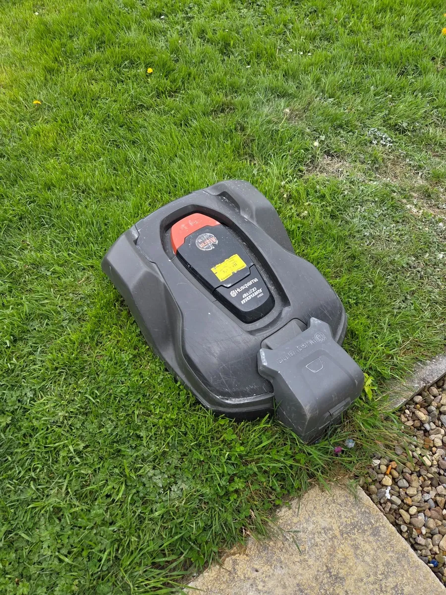 Robotic Lawmower - Image 1