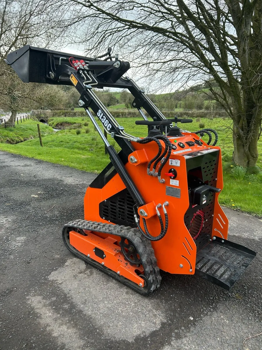 SKIDSTEER DIESEL - Image 1